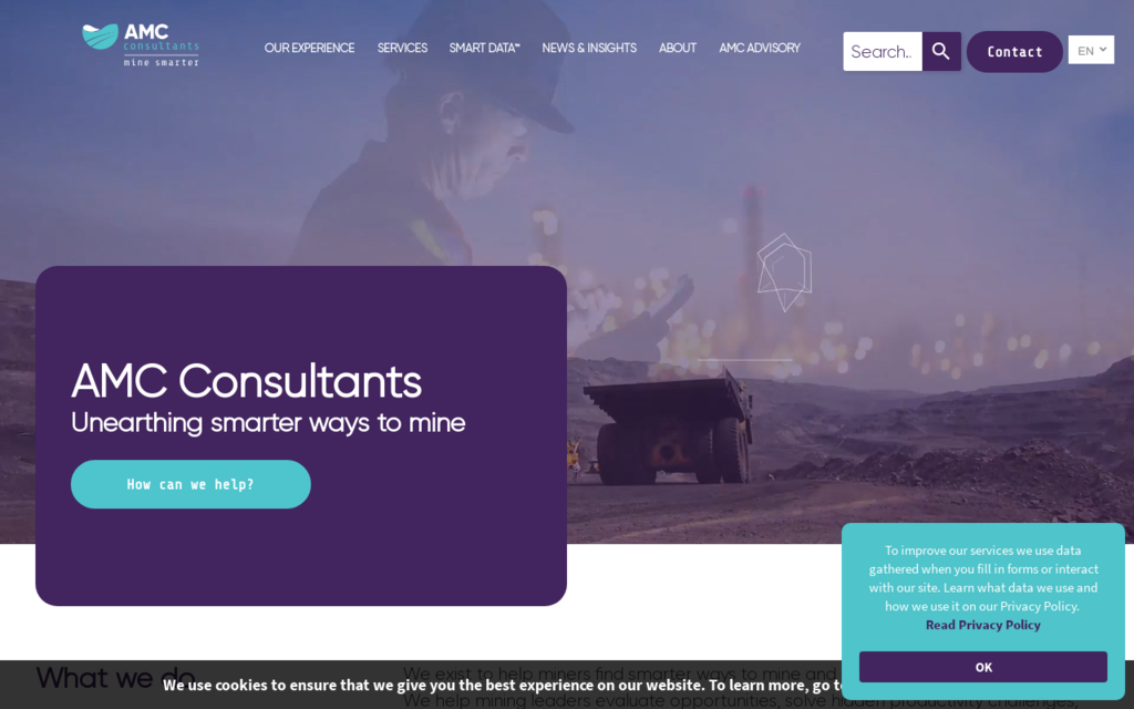 AMC Consultants